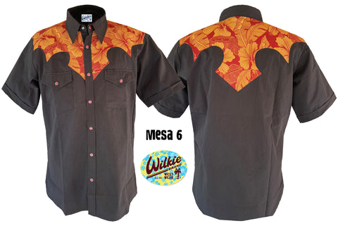 Mesa 6