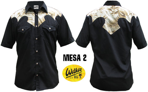 Mesa 2