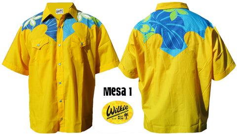 Mesa 1